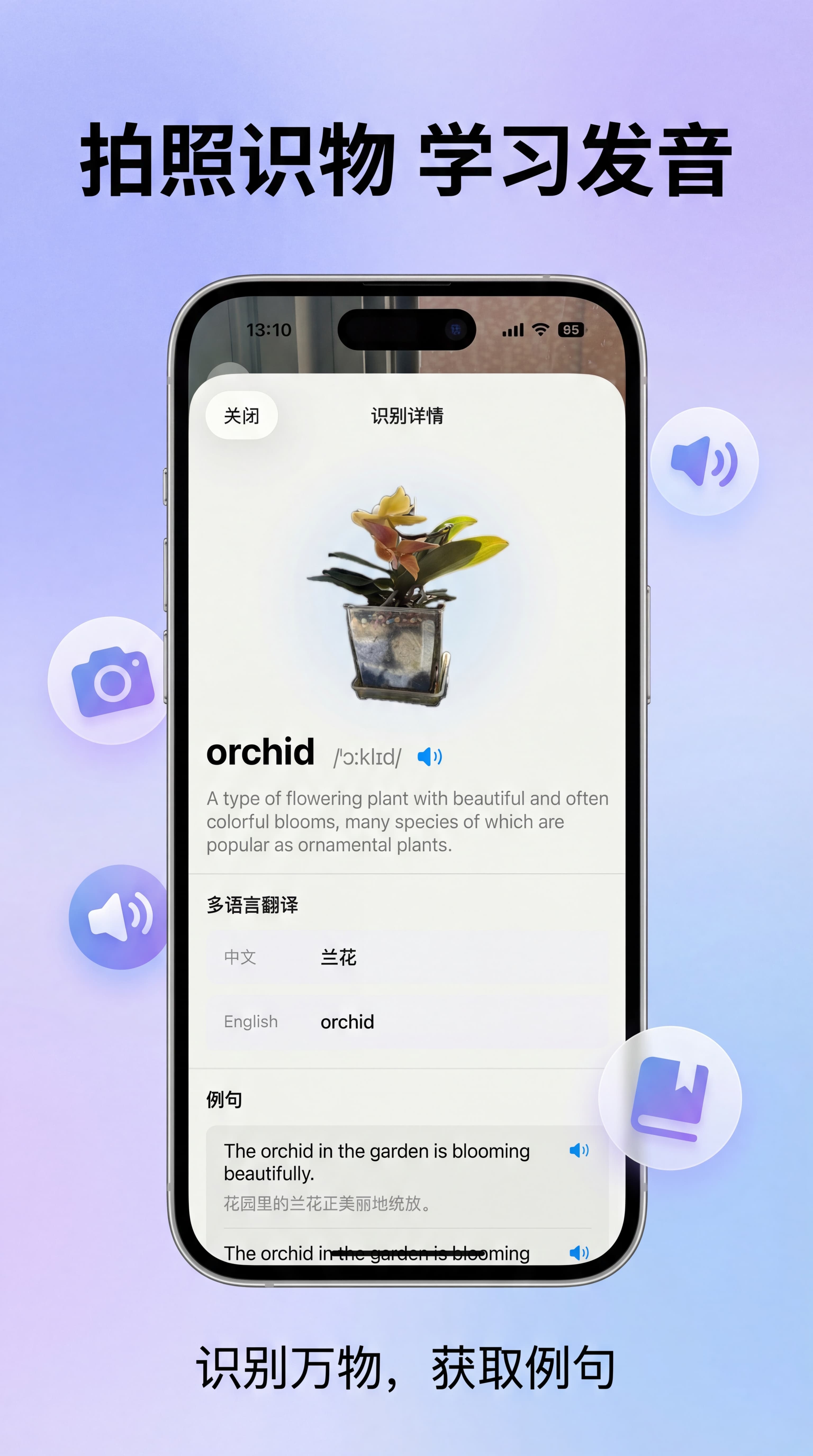 Visual Recognition Feature